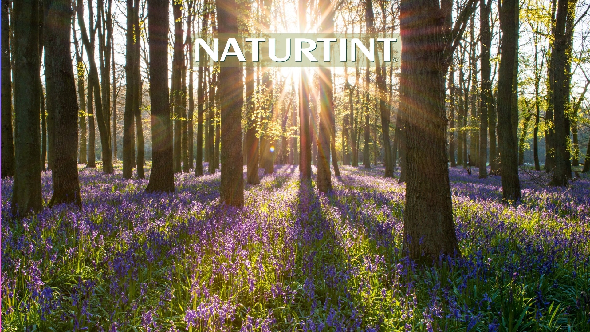 The Benefits of Ammonia-Free Hair Color by Naturtint